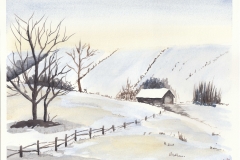 Christmas dales