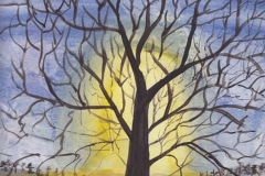 tree at sunset