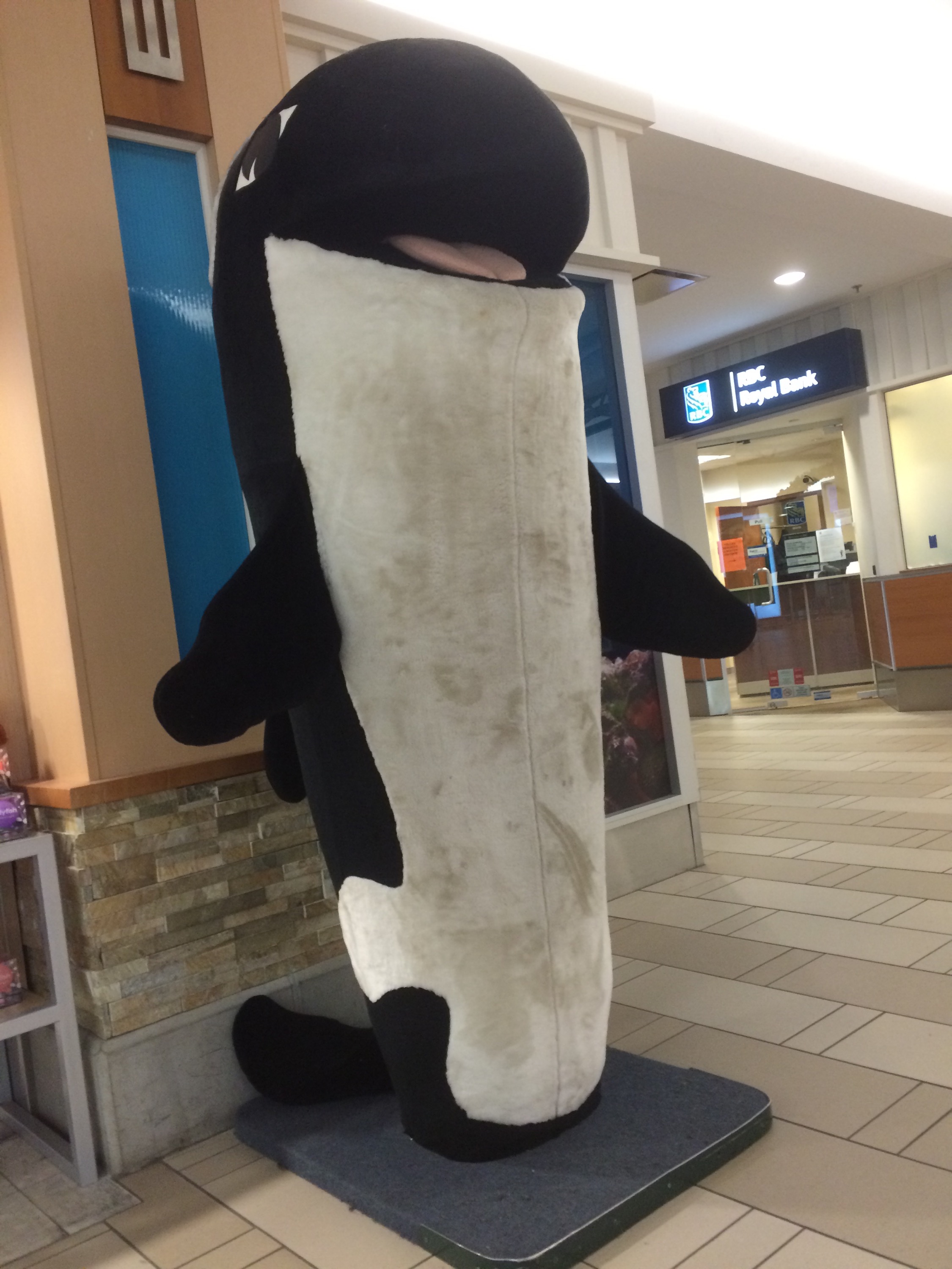The big whale at Vancouver Airport