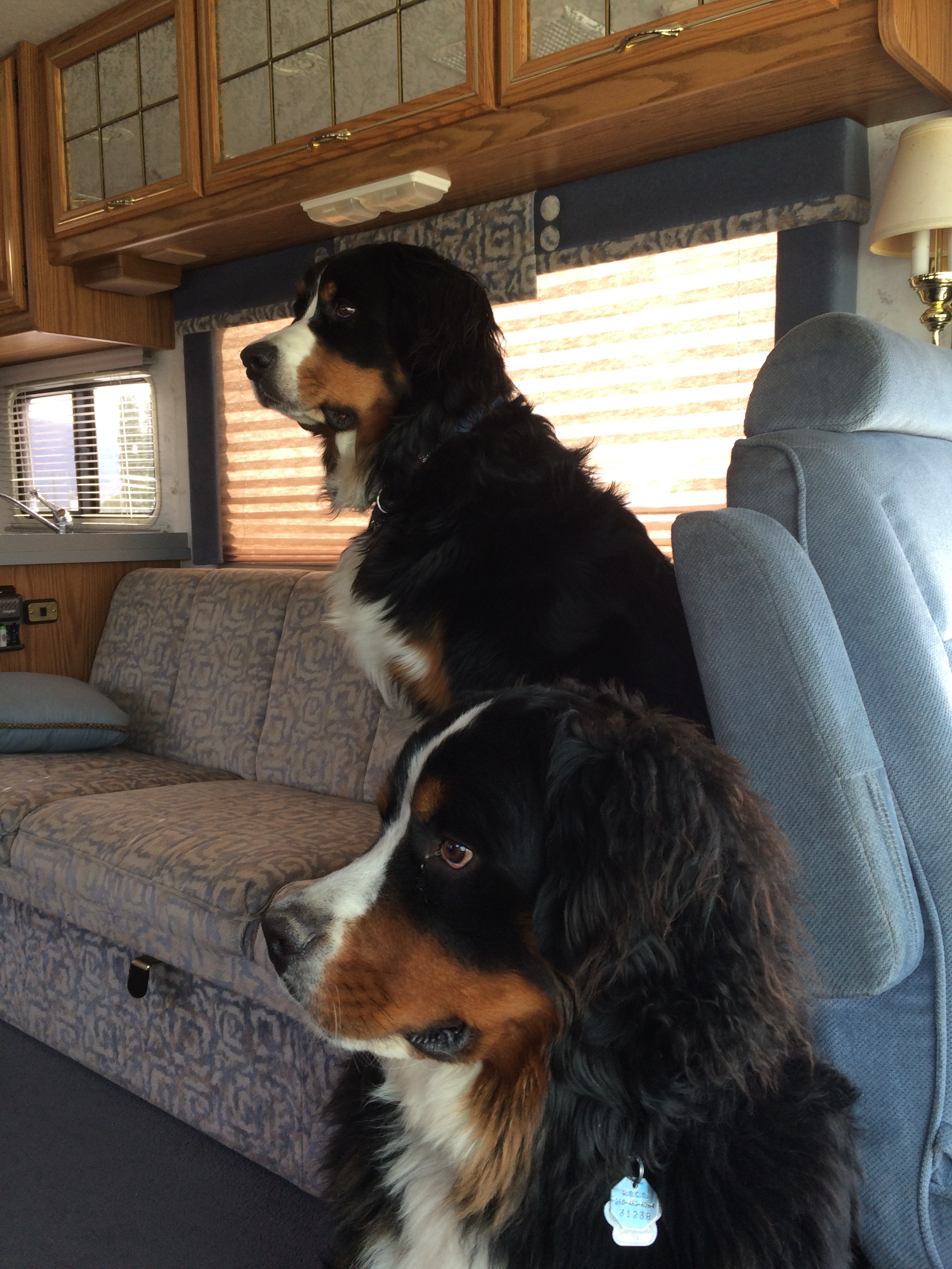 Lacey and Deefer in the Winnebago