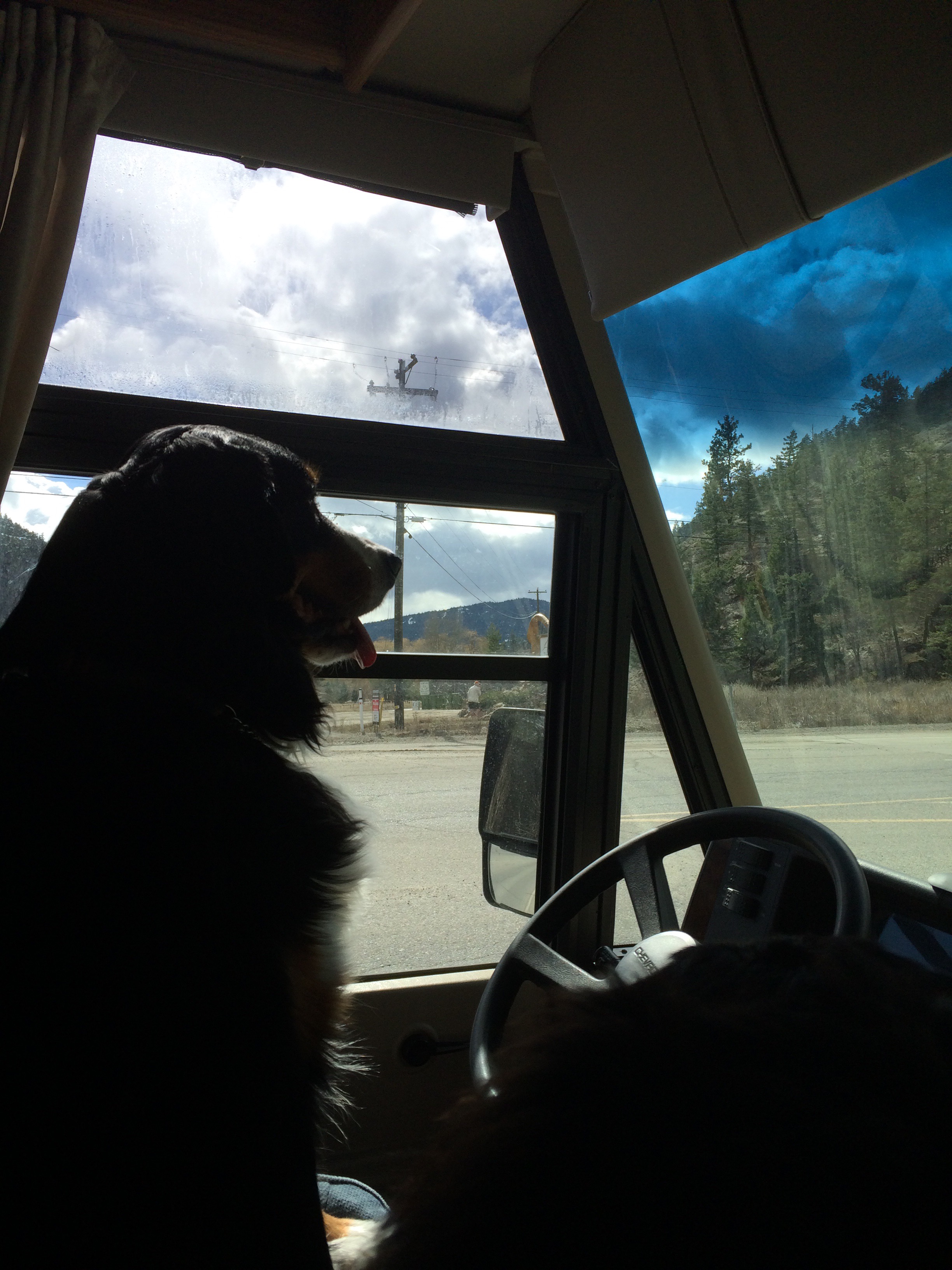 Lacey in the driving seat