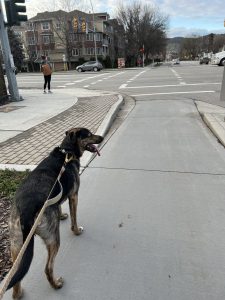 The bike line that’s part of the sidewalk ends in the highway.