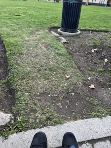 A garbage can surrounded by grass