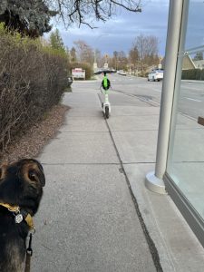 An abandoned Lime scooter.