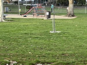 Dog park in the distance, with someone there.