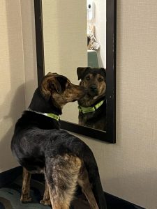 Leo looking at himself in the mirror of the hotel room.