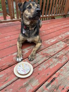 Leo and his celebration cake